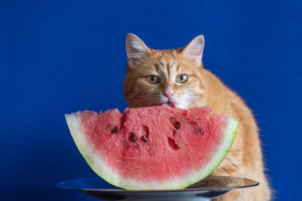 Photograph by Татьяна Акулова