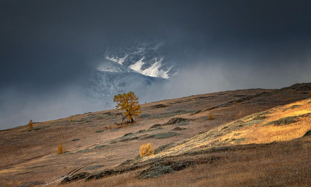 Photograph by Ольга Челдыкова