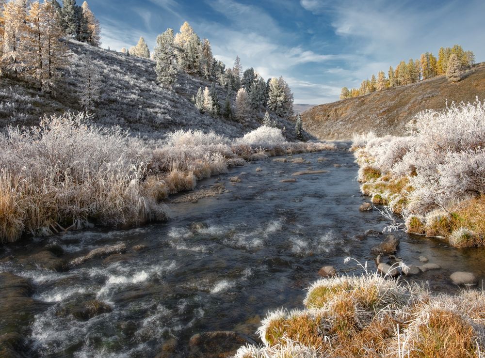 Photograph by Ольга Челдыкова