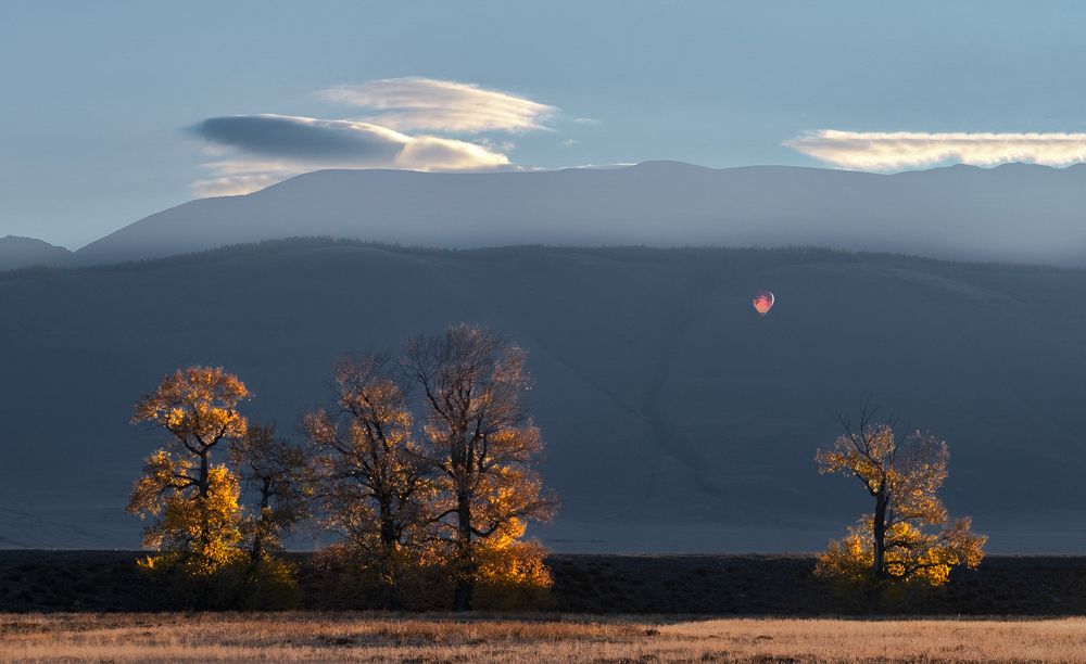 Photograph by Ольга Челдыкова