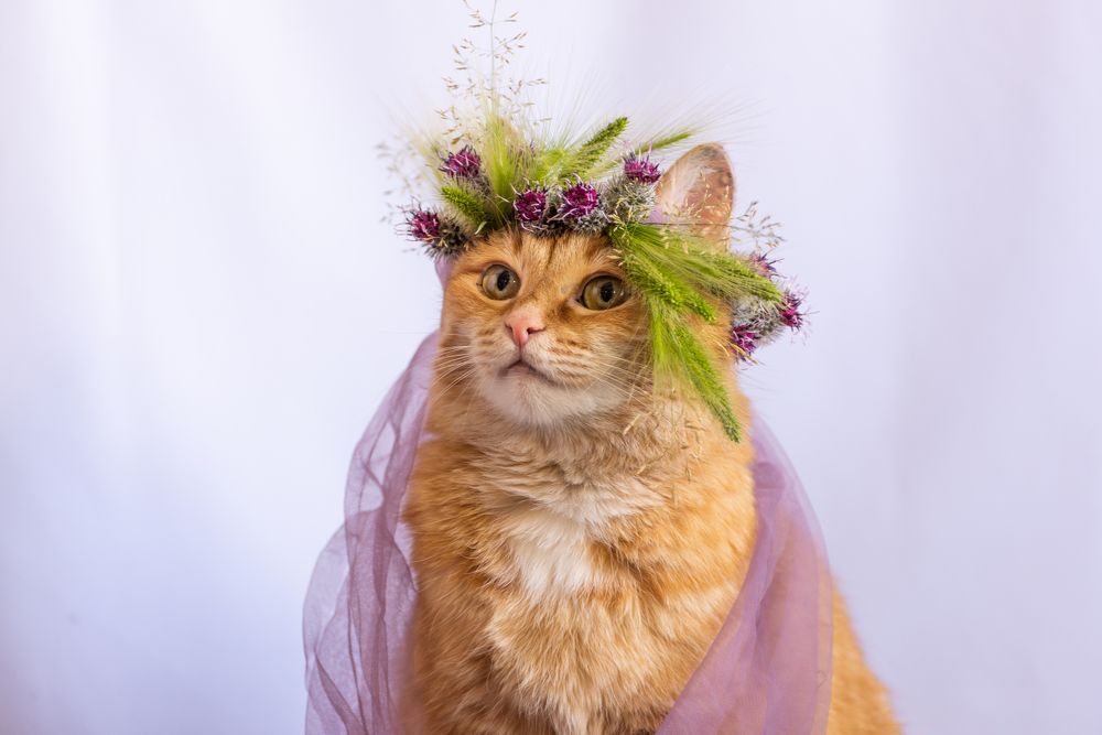 Photograph by Татьяна Акулова