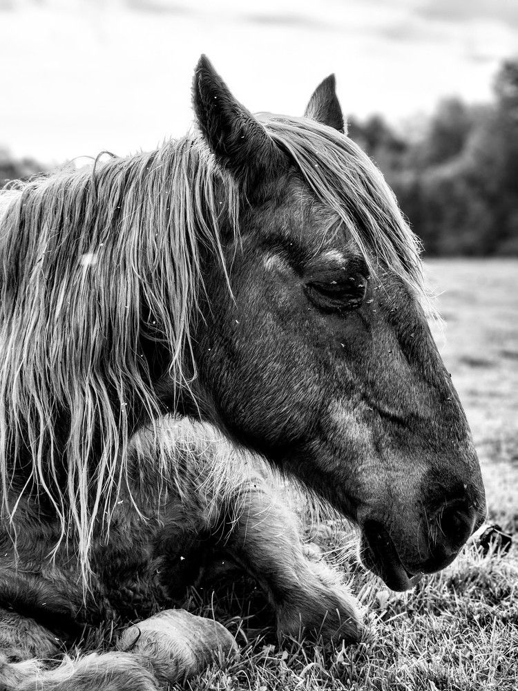 Photograph by Надежда Кудрявцева