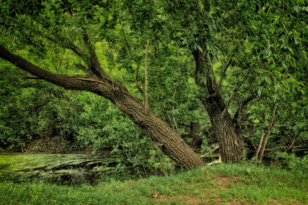 Photograph by Vitaliy Saposhnikov