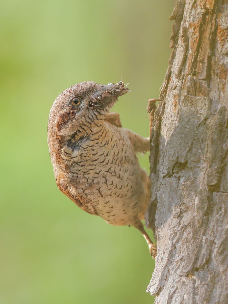 Photograph by Денис Пронин