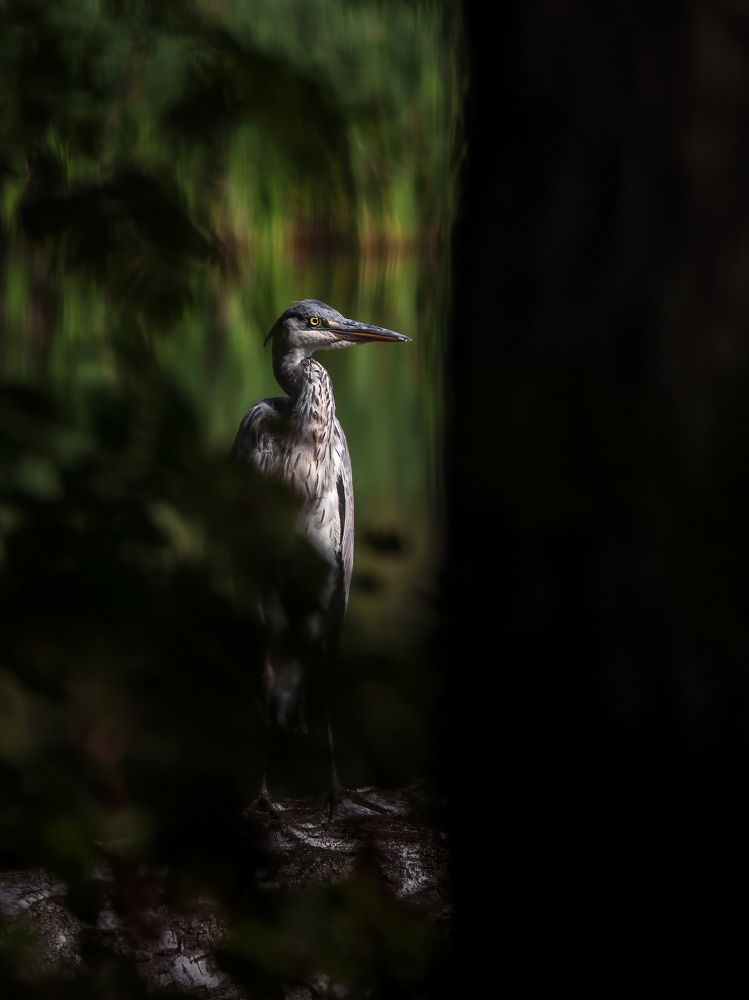 Photograph by Денис Пронин