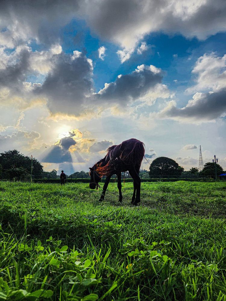 Photograph by Debtanu Roy