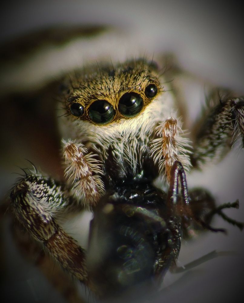 Photograph by Silja Grünberg