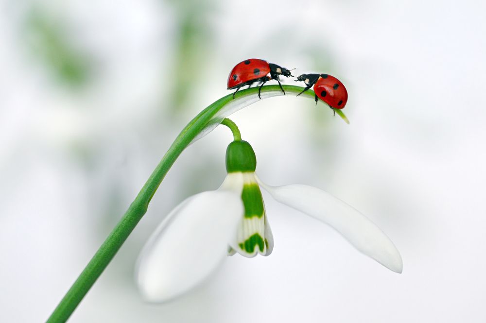 Photograph by Цветан Ганев