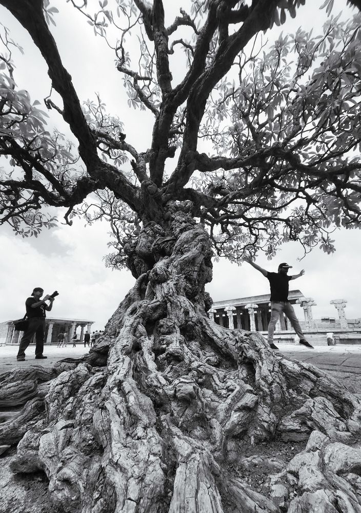 Photograph by Rohan Kothari