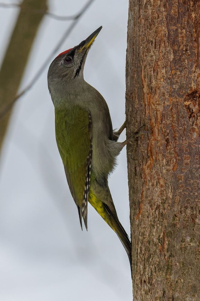 Photograph by Вячеслав Орос