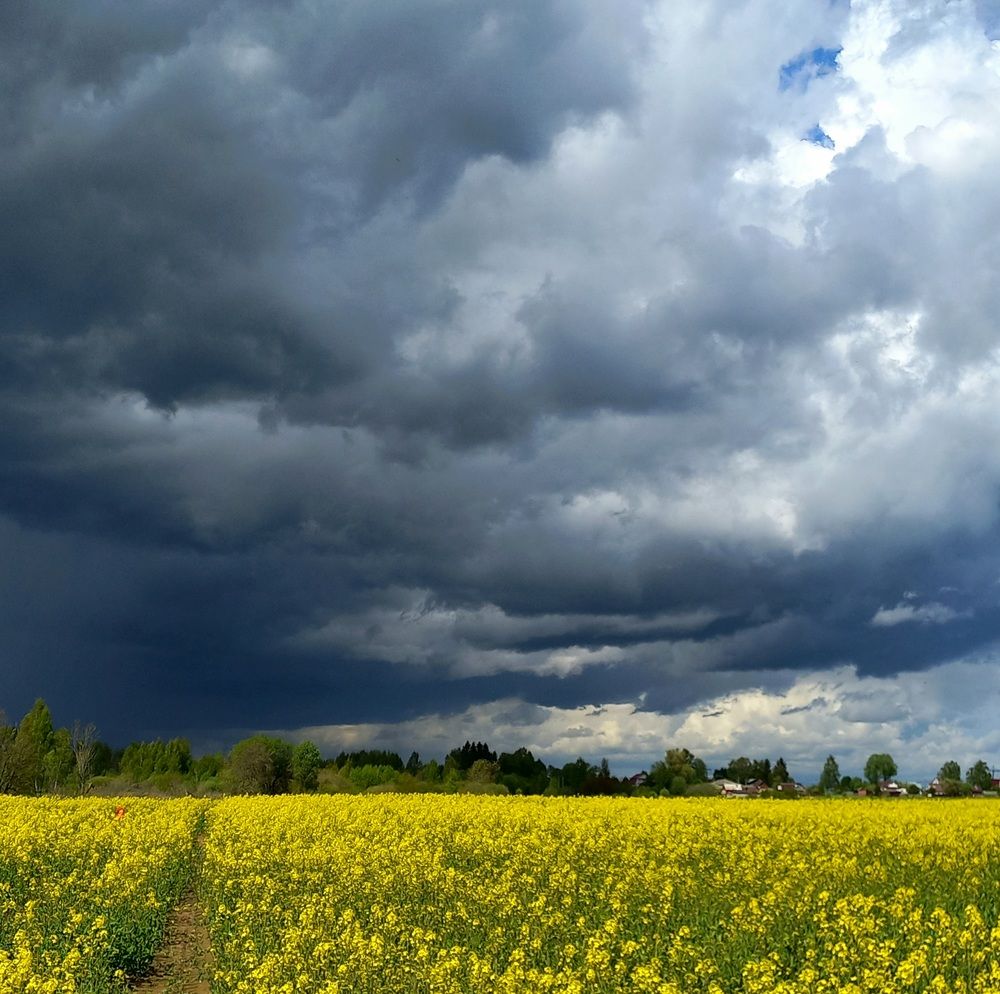 Photograph by Яна