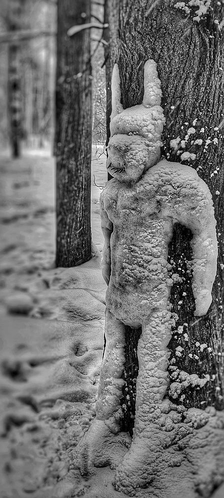 Там леший бродит.....