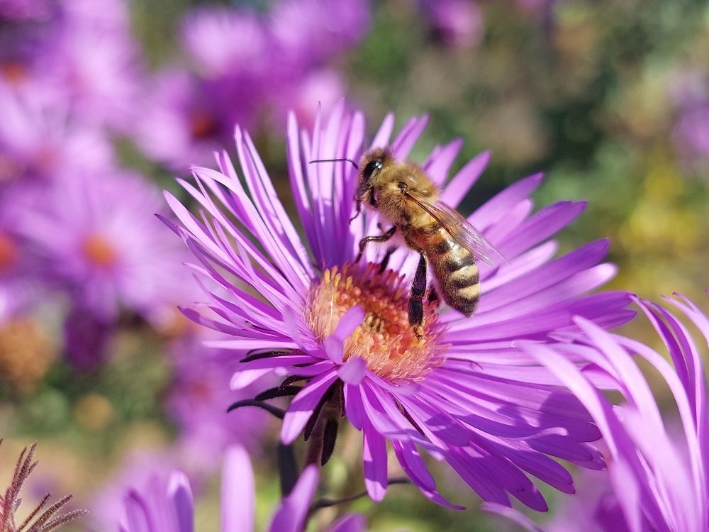 November in Uzbekistan