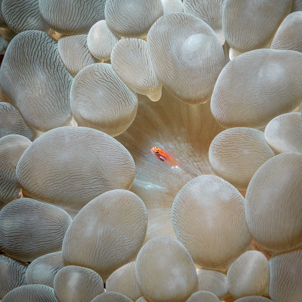 Photograph by Савин Андрей