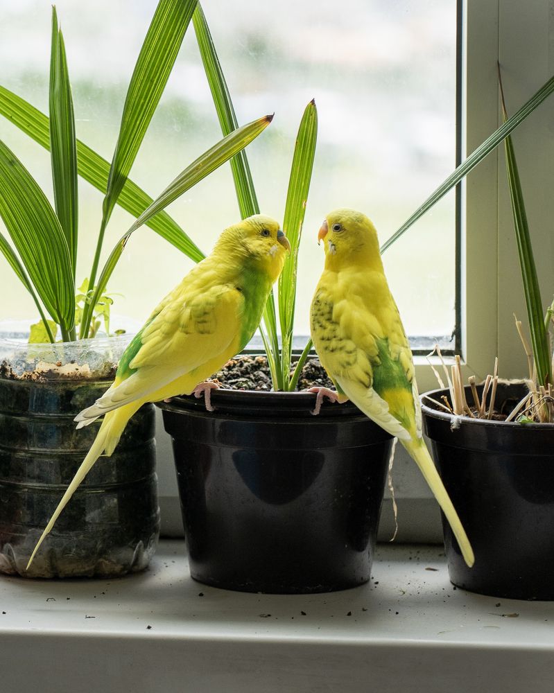 Photograph by Оксана Антипова