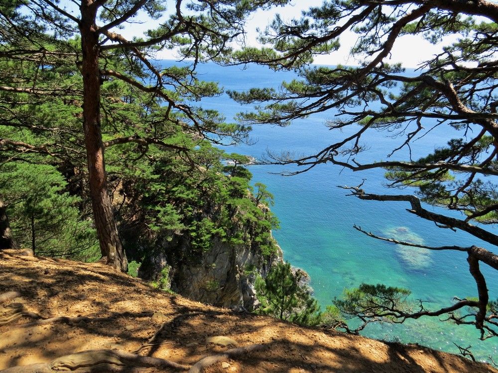 Photograph by Светлана Башаева