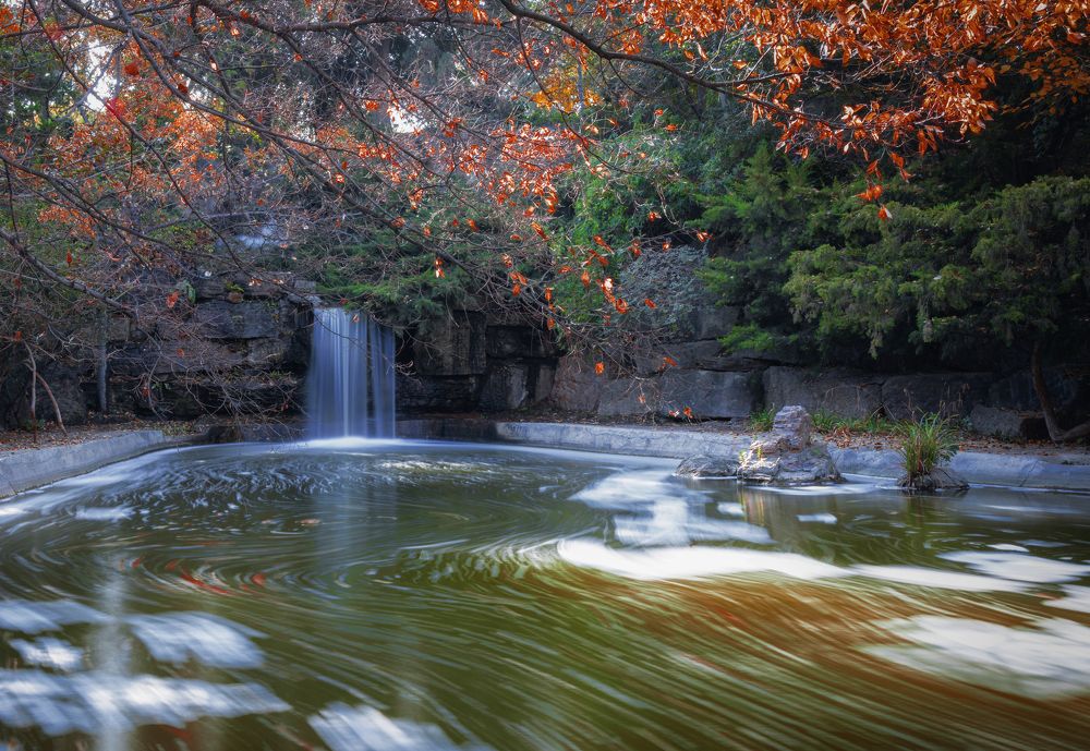 Фотография автора Arash Kaviani