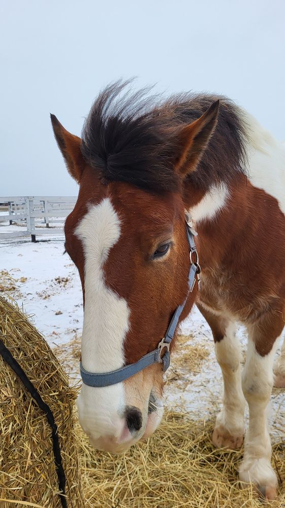 Фотография автора Татьяна Прашкевич