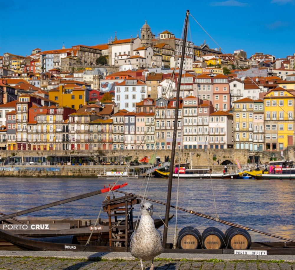 Oporto Guardian
