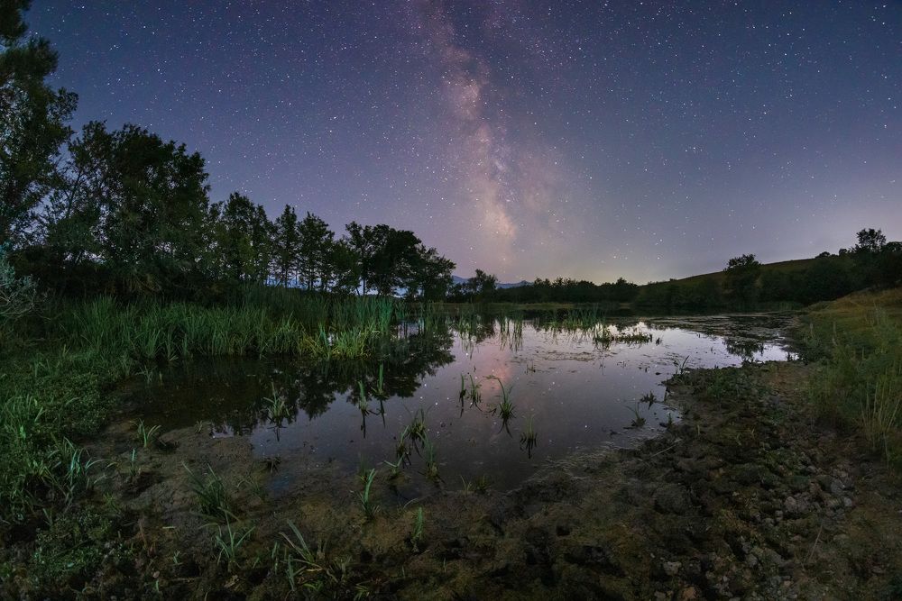 Photograph by Котенко Вадим