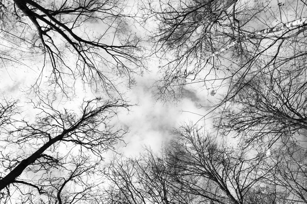 Фотография автора Ольга Войтехович