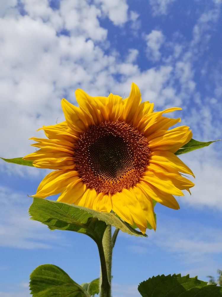 Photograph by Екатерина Супраненок