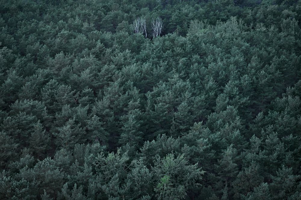 Photograph by Антон Пухачёв