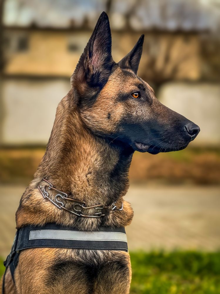 Фотография автора Nomin Jerabek