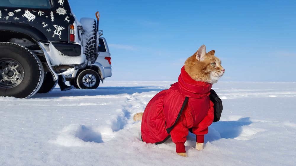 Photograph by Татьяна Акулова