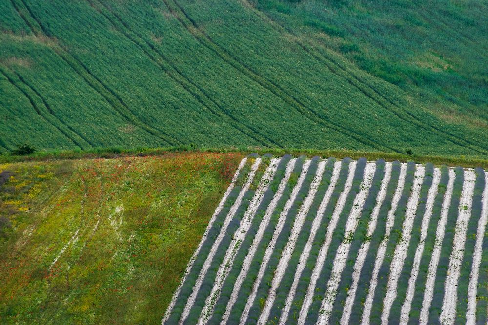 Photograph by Котенко Вадим