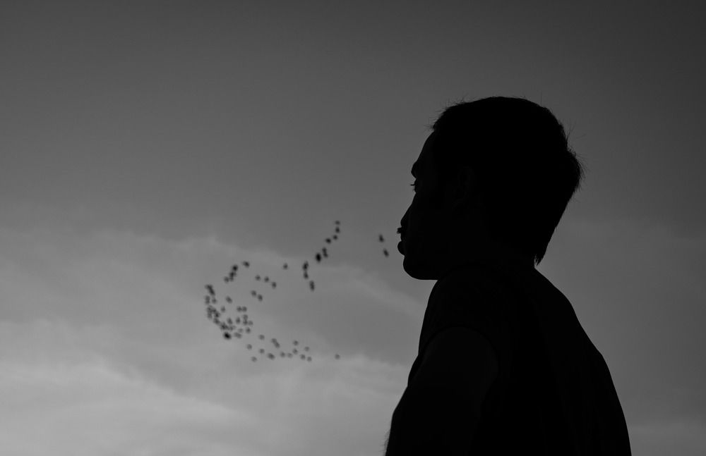 Photograph by Rohan Kothari