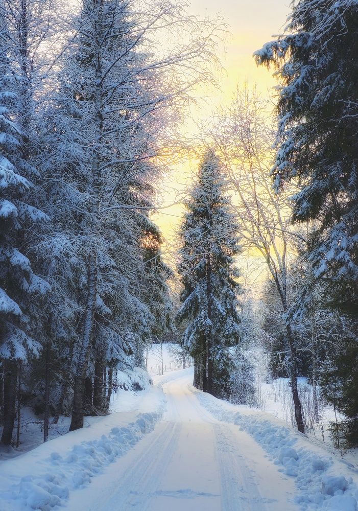 Фотография автора Alina Filimonova