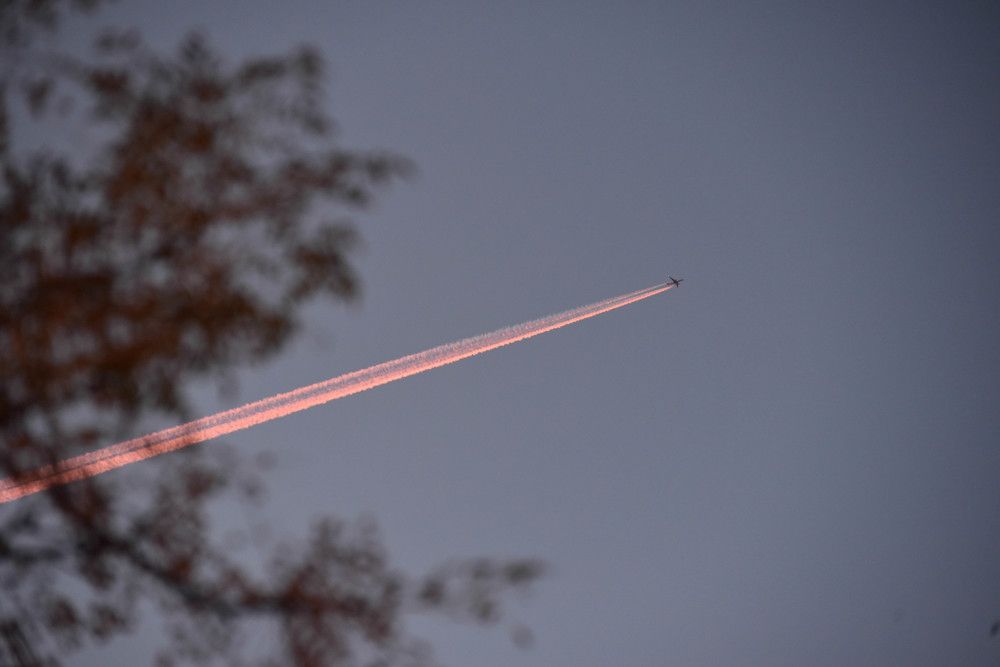 Photograph by Fethoune Saif Eddine