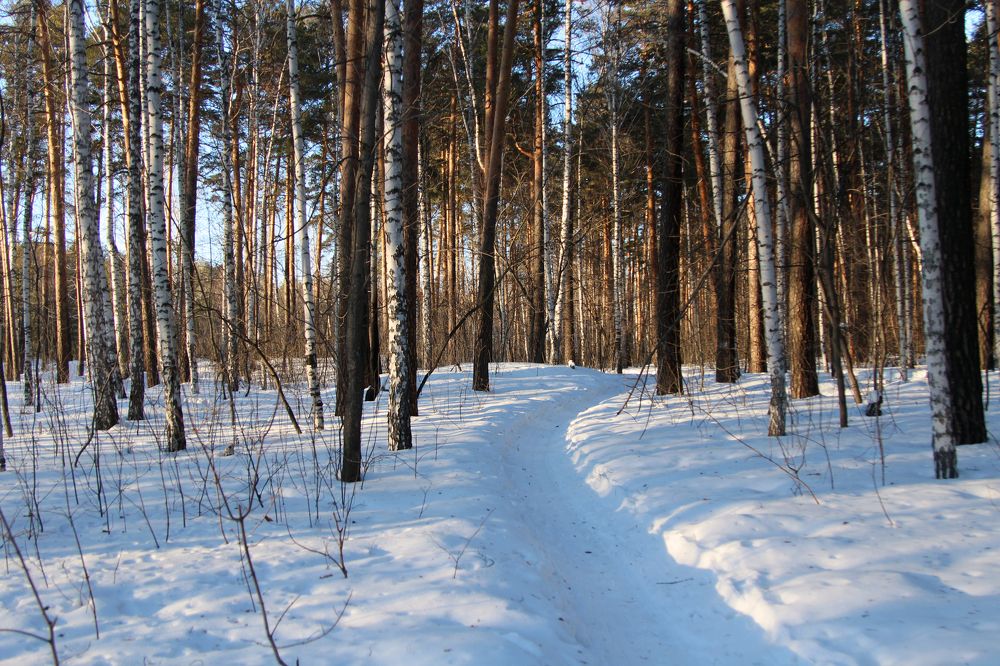 Photograph by Баженова Наталья