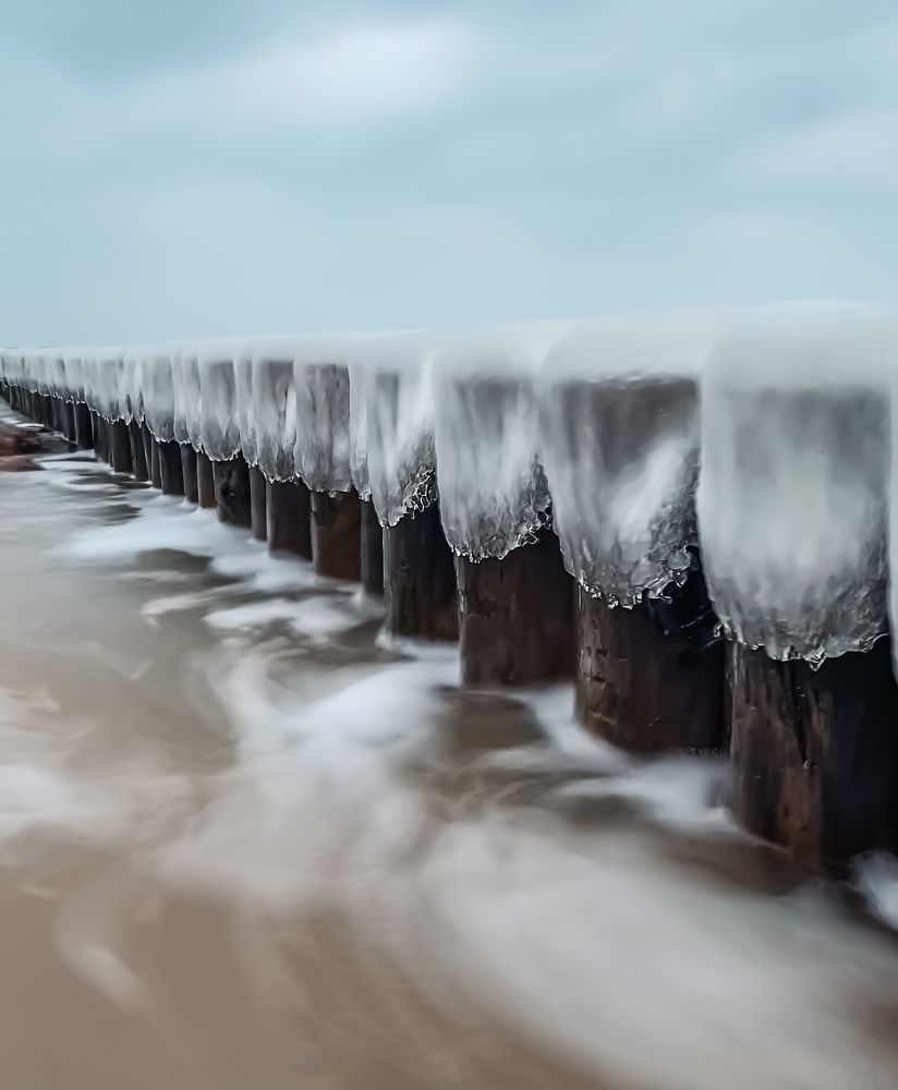 Фотография автора Ольга Артковская