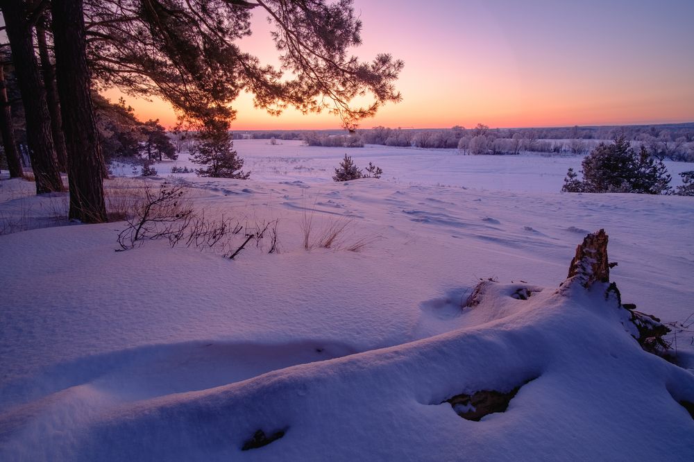 Photograph by Александр Корженков