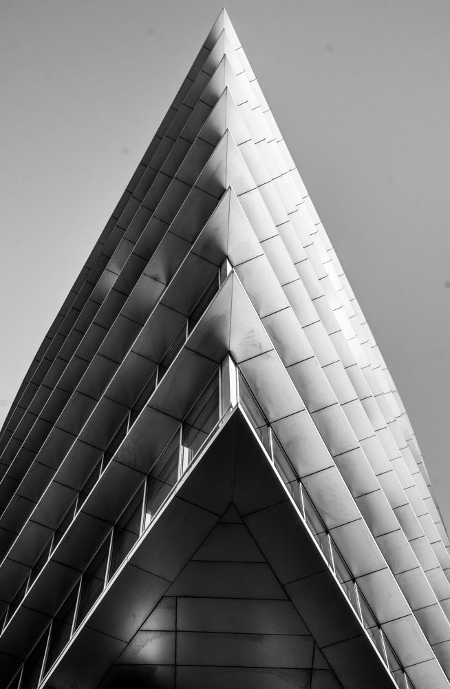 Фотография автора Василиса Новикова