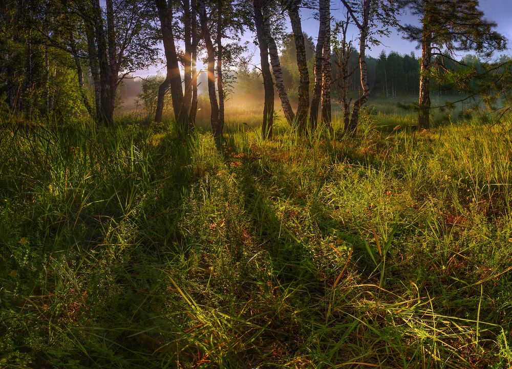 Photograph by Чичкин Валерий