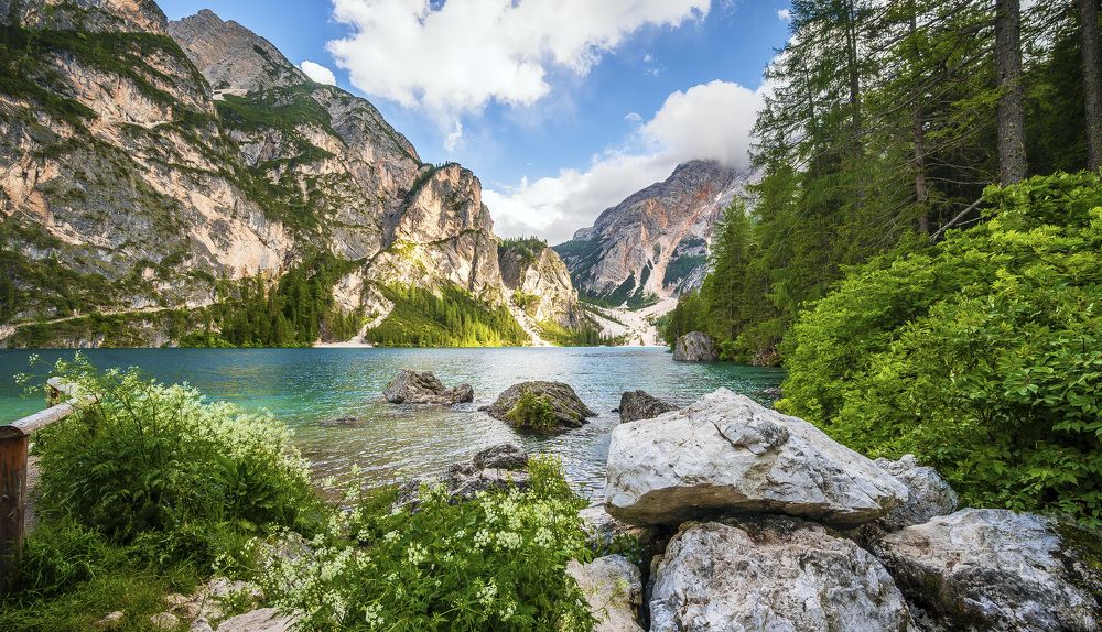 Photograph by Shopteriev