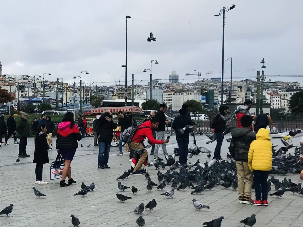 Фотография автора Gulnara