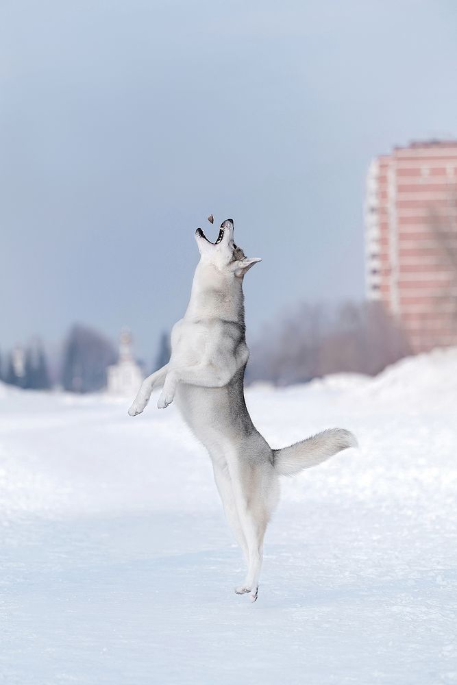 Photograph by Виктория Фоминых