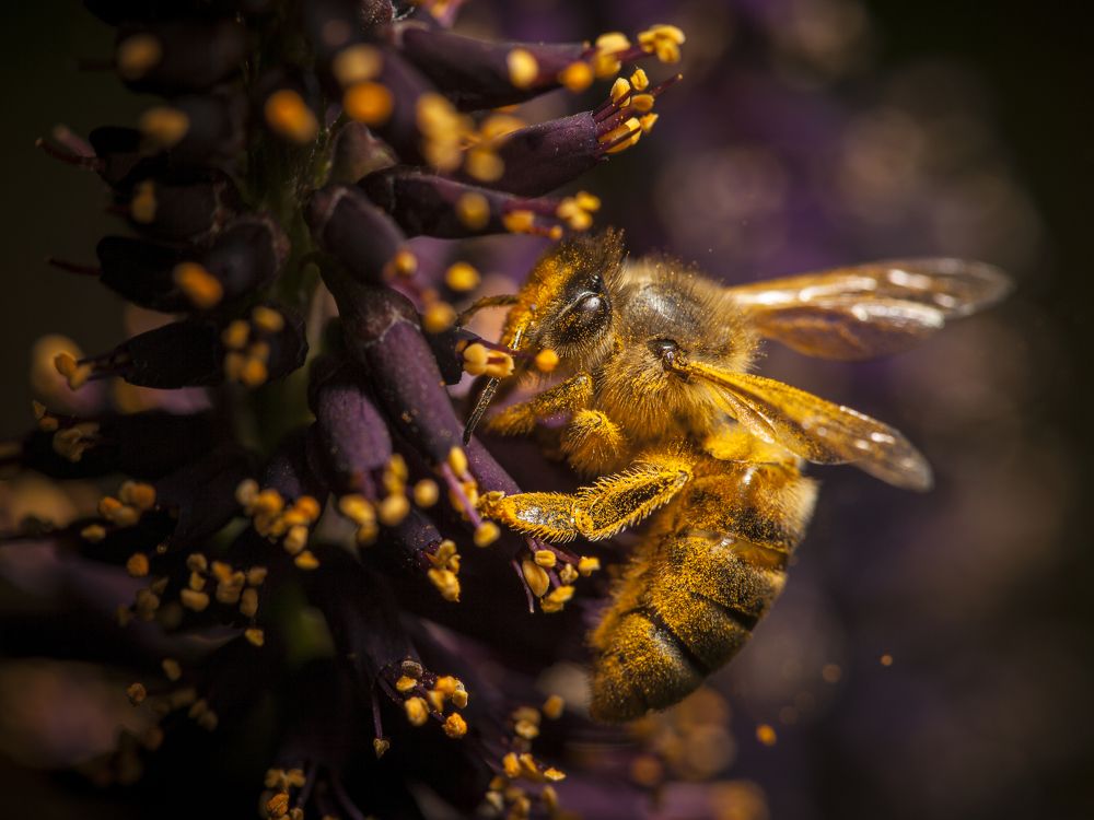 Photograph by Антон Корнеев