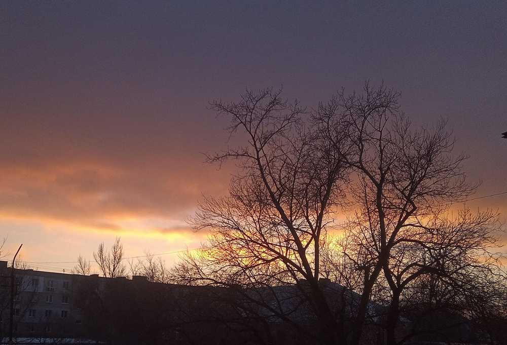 Photograph by Светлана