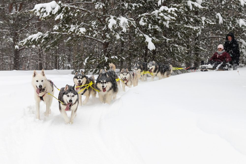 Photograph by Ангелина Лаптева