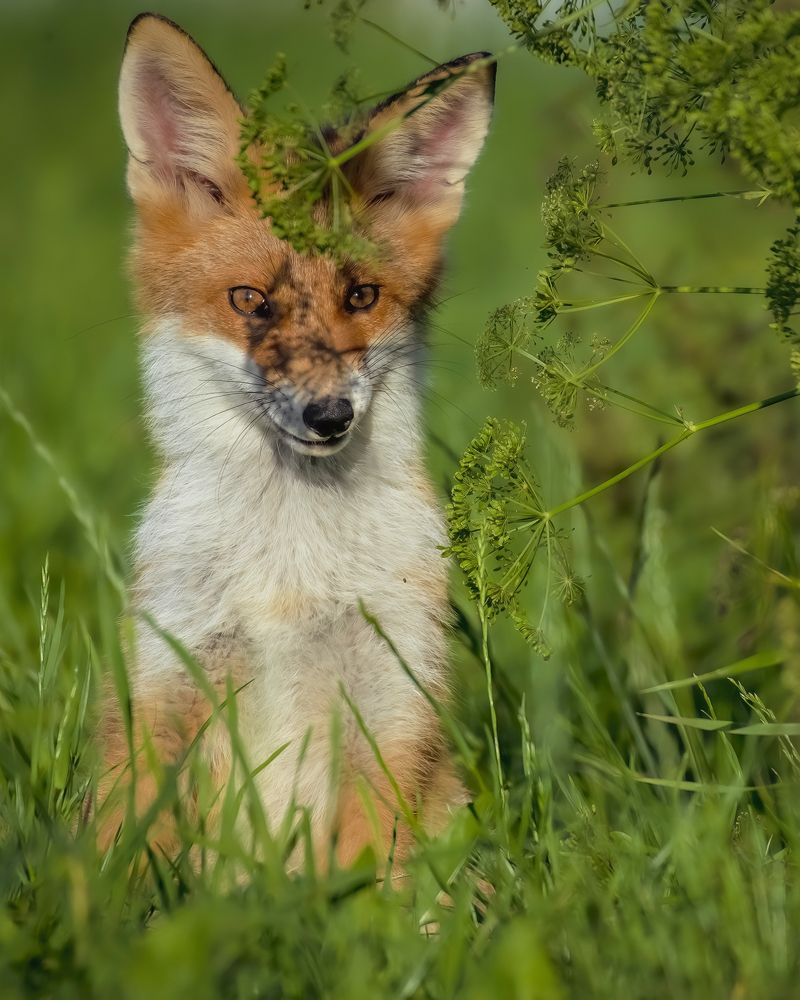 Photograph by Елена