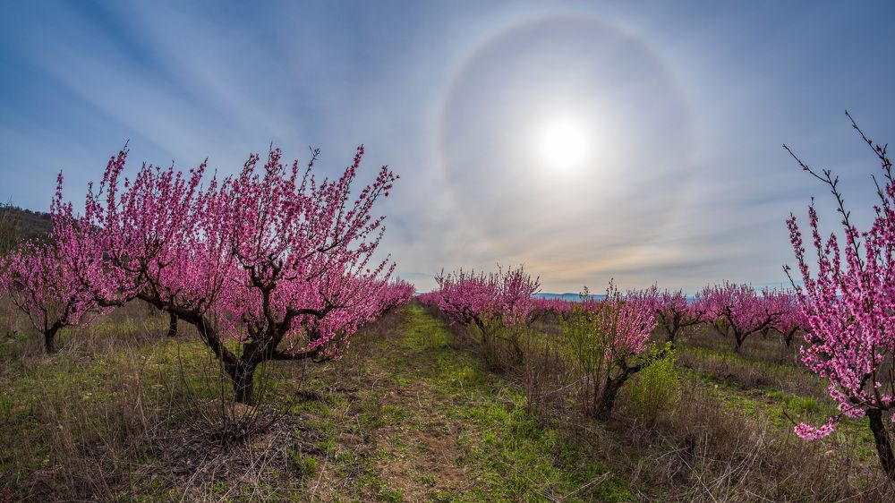 Photograph by Котенко Вадим