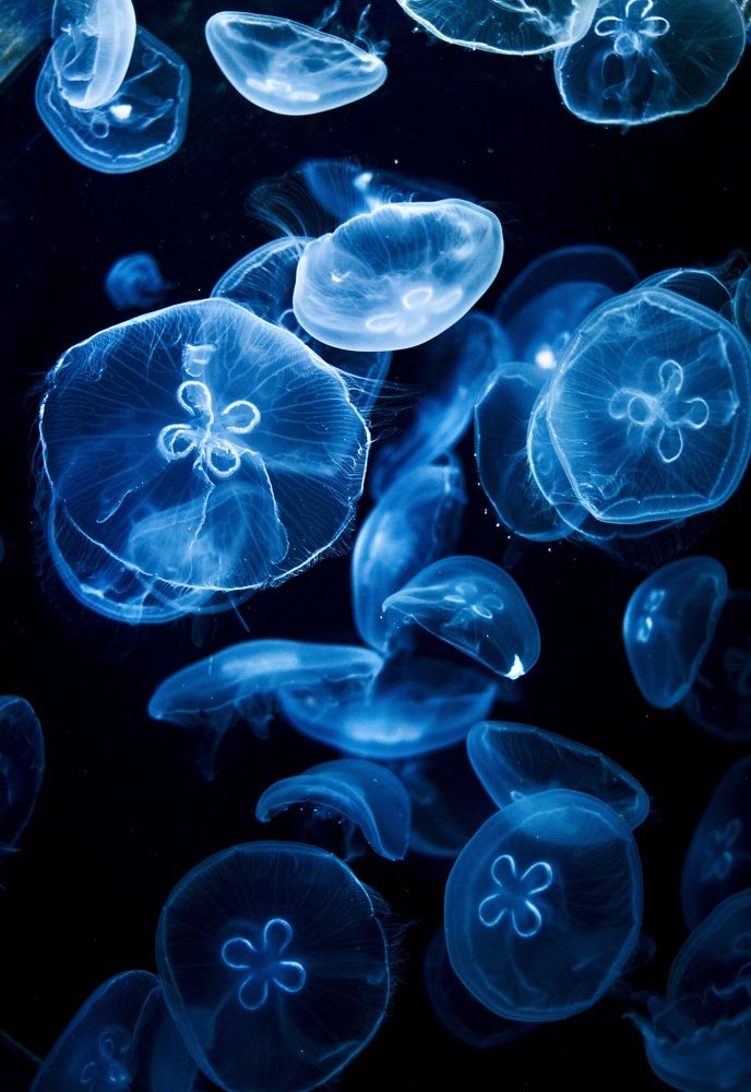 Photograph by Игорь Сержант