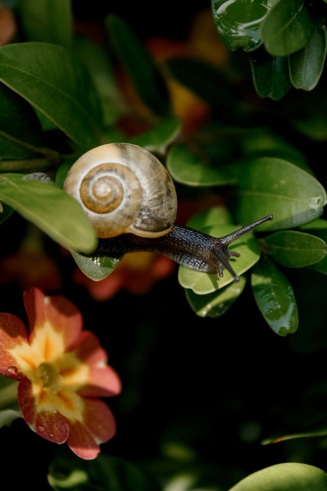 Photograph by Диана Козел