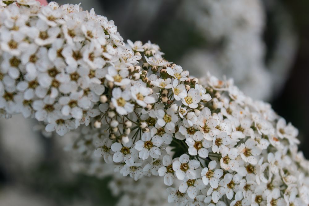 Photograph by Диана Козел