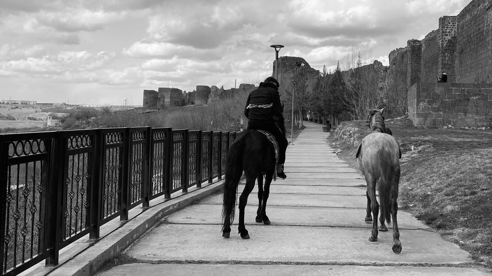 Photograph by Gamze TAŞ